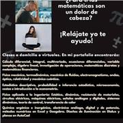 Profesor de cálculo, física, estadística